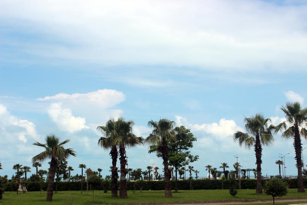 Euphoria * Batumi